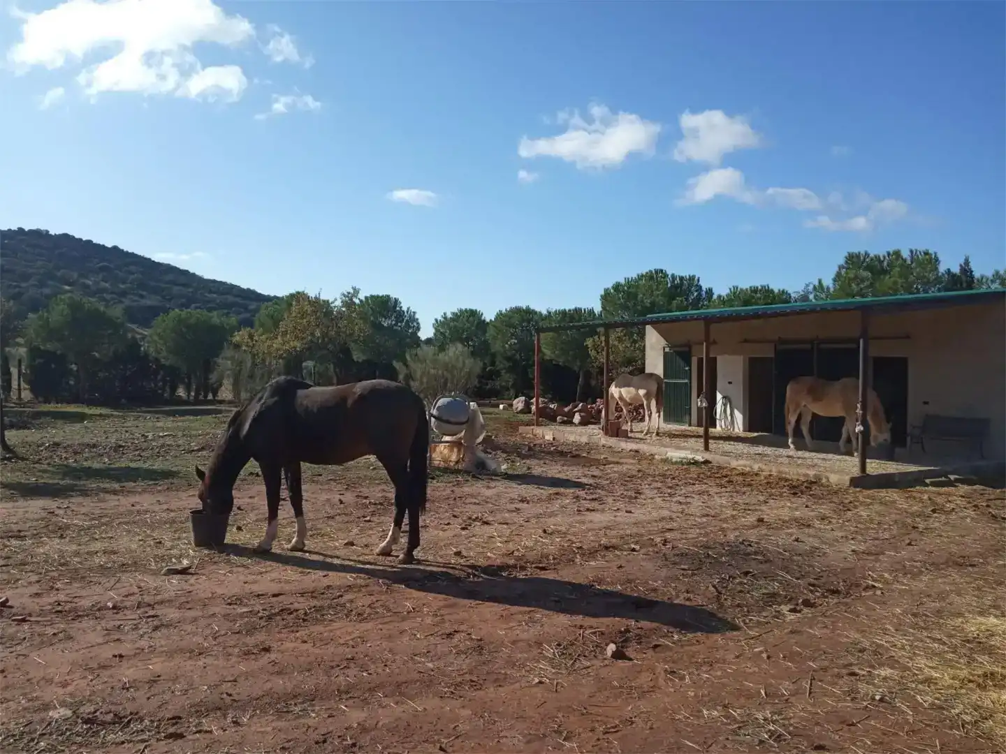 Exterior view of Land for sale in Moral de Calatrava