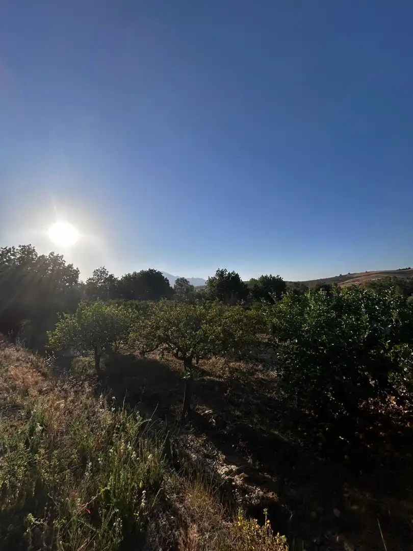 Terrenys i solars en venda a Coín, imagen 13