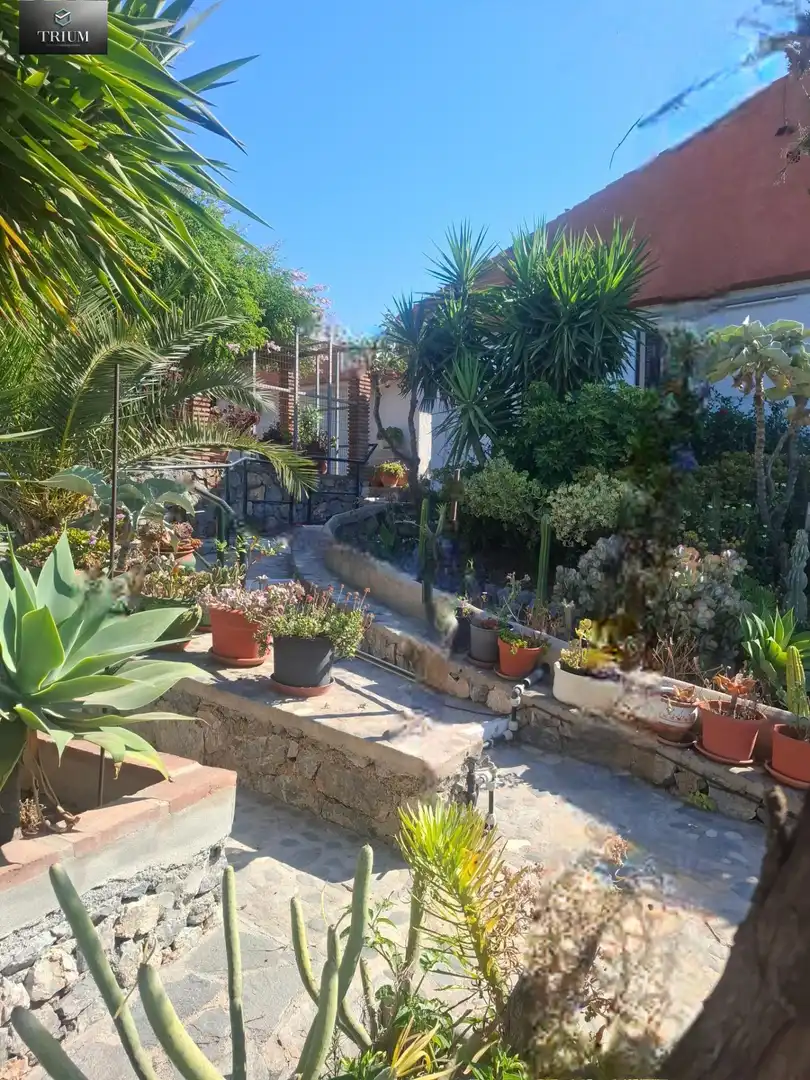 Terrassa de Casa o xalet en venda en Almuñécar