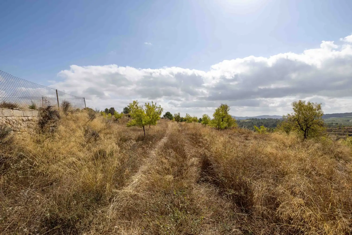Finca rústica en venta en Mula