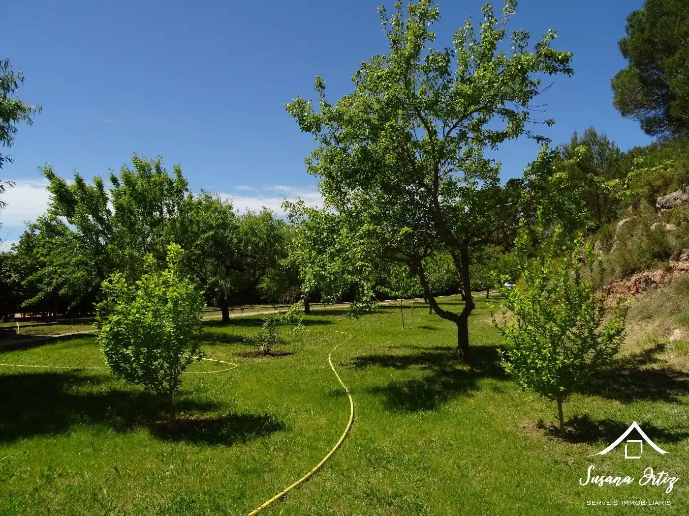Jardín de Casa o chalet en venta en El Bruc con Aire acondicionado, Calefacción y Jardín privado