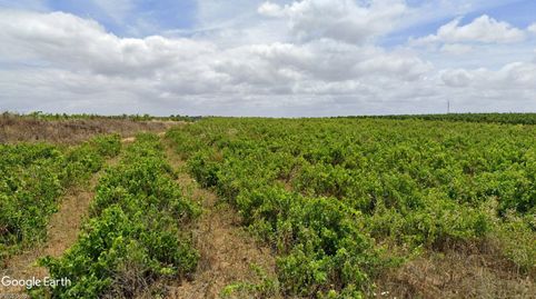 V14315 FINCA RUSTICA CON VIÑEDO