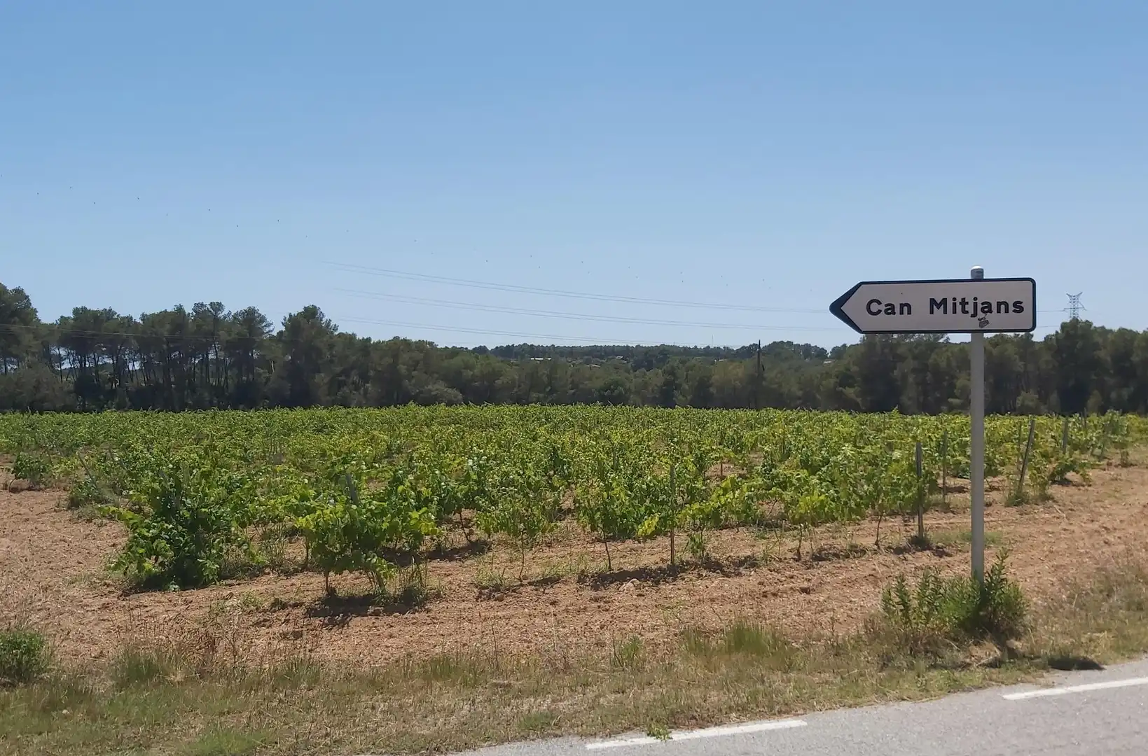 Casa o xalet en venda en Avinyonet del Penedès amb Jardí privat, Terrassa i Traster