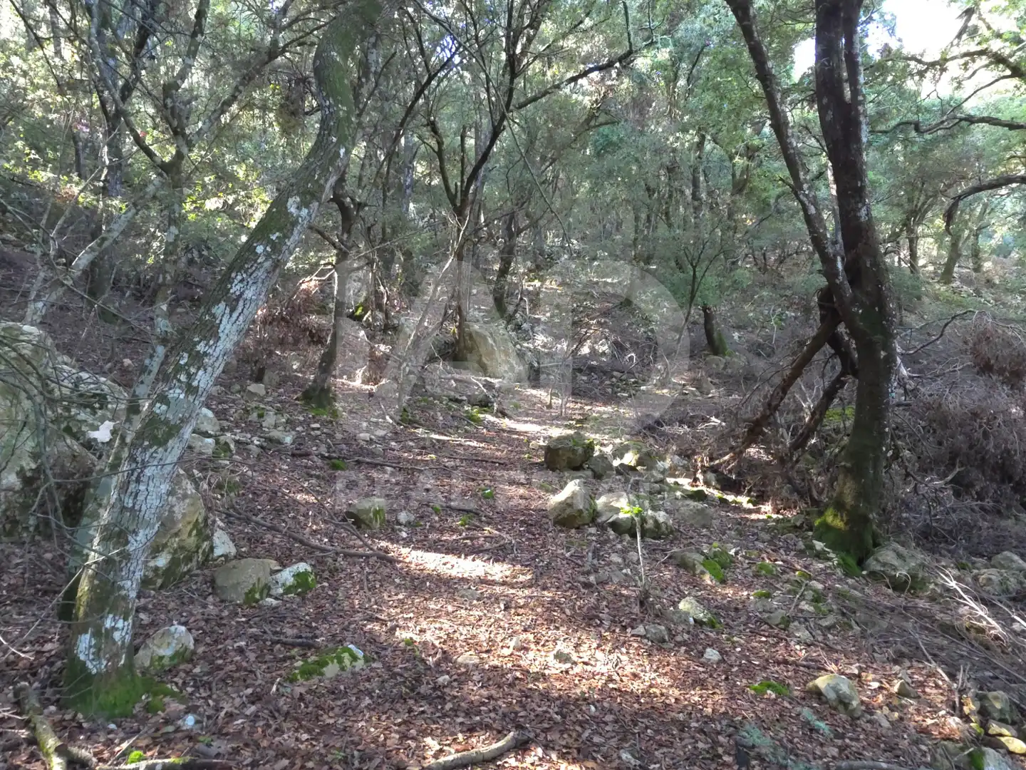 Residencial en venda en Escorca