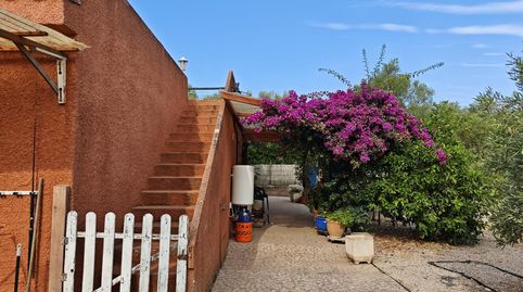 Photo 4 of Houses for sale in Algaida, Illes Balears