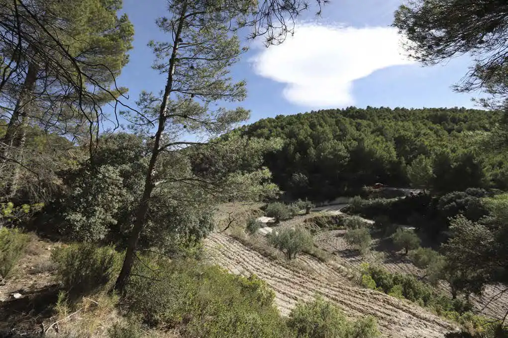 Casa rústica en venta en Torremanzanas / La Torre de les Maçanes, imagen 3