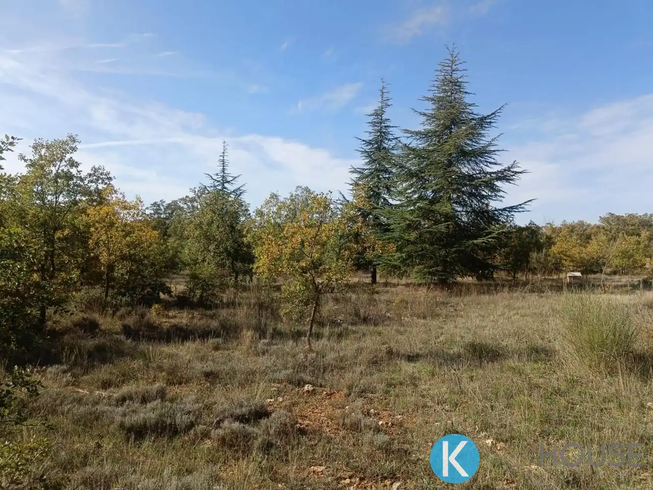Land for sale in Pastrana
