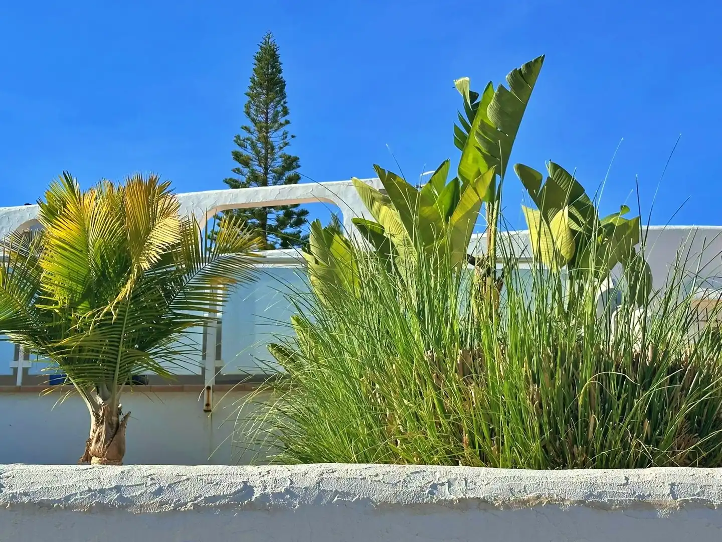 Villa con piscina in vendita a Benimeit - Tabaira, imagen 31