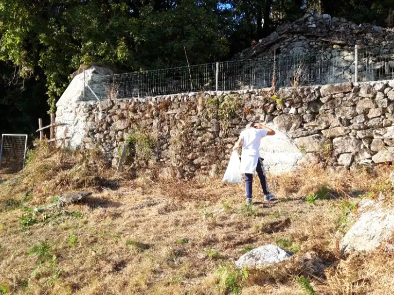 Jardín de Terreno en venta en Campo Lameiro, Pontevedra