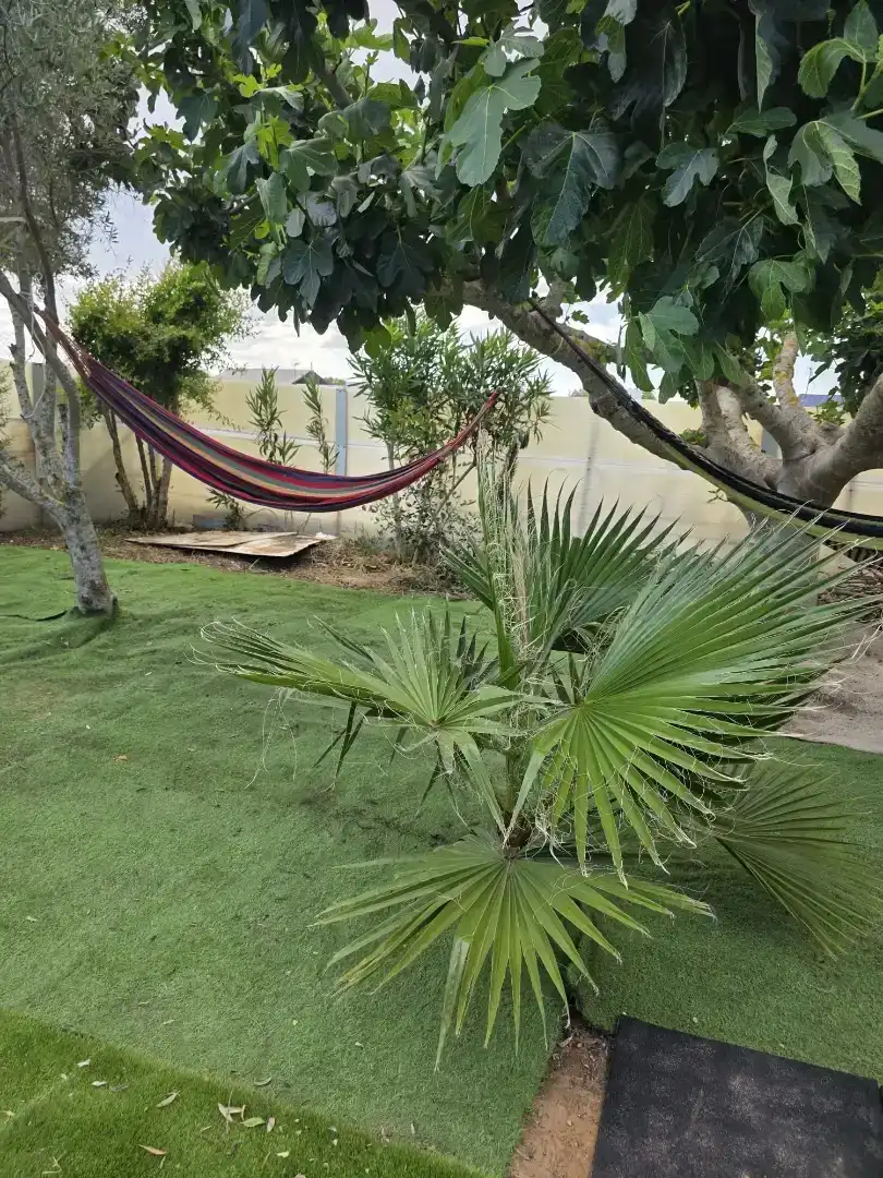 Jardí de Finca rústica en venda en Utrera amb Aire condicionat i Piscina