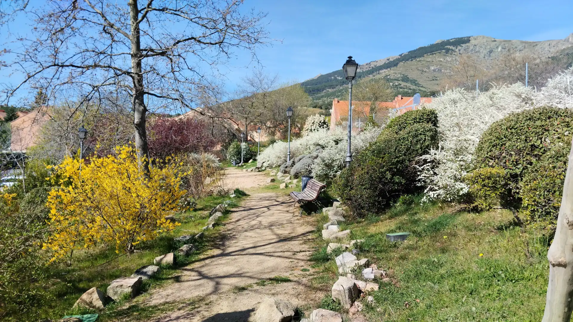 Vista exterior de Casa adosada en venta en San Lorenzo de El Escorial con Aire acondicionado, Calefacción y Jardín privado