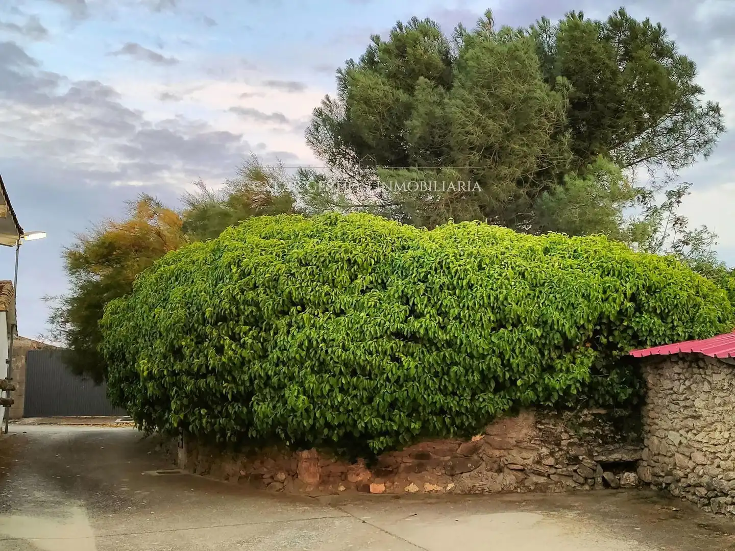 Garden of Houses for sale in La Mata de Ledesma  with Heating, Private garden and Storage room