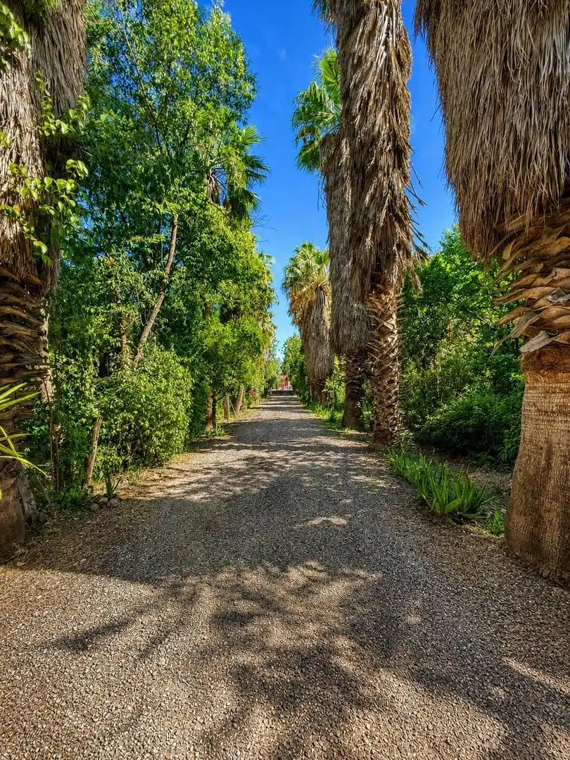 Casa rustica con piscina in vendita a Carretera a Palma del Río, imagen 8