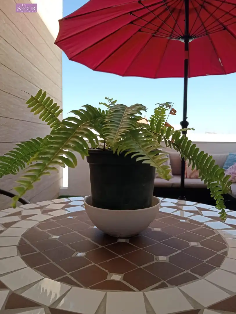 Flat with lift for sale in Conil, imagen 6