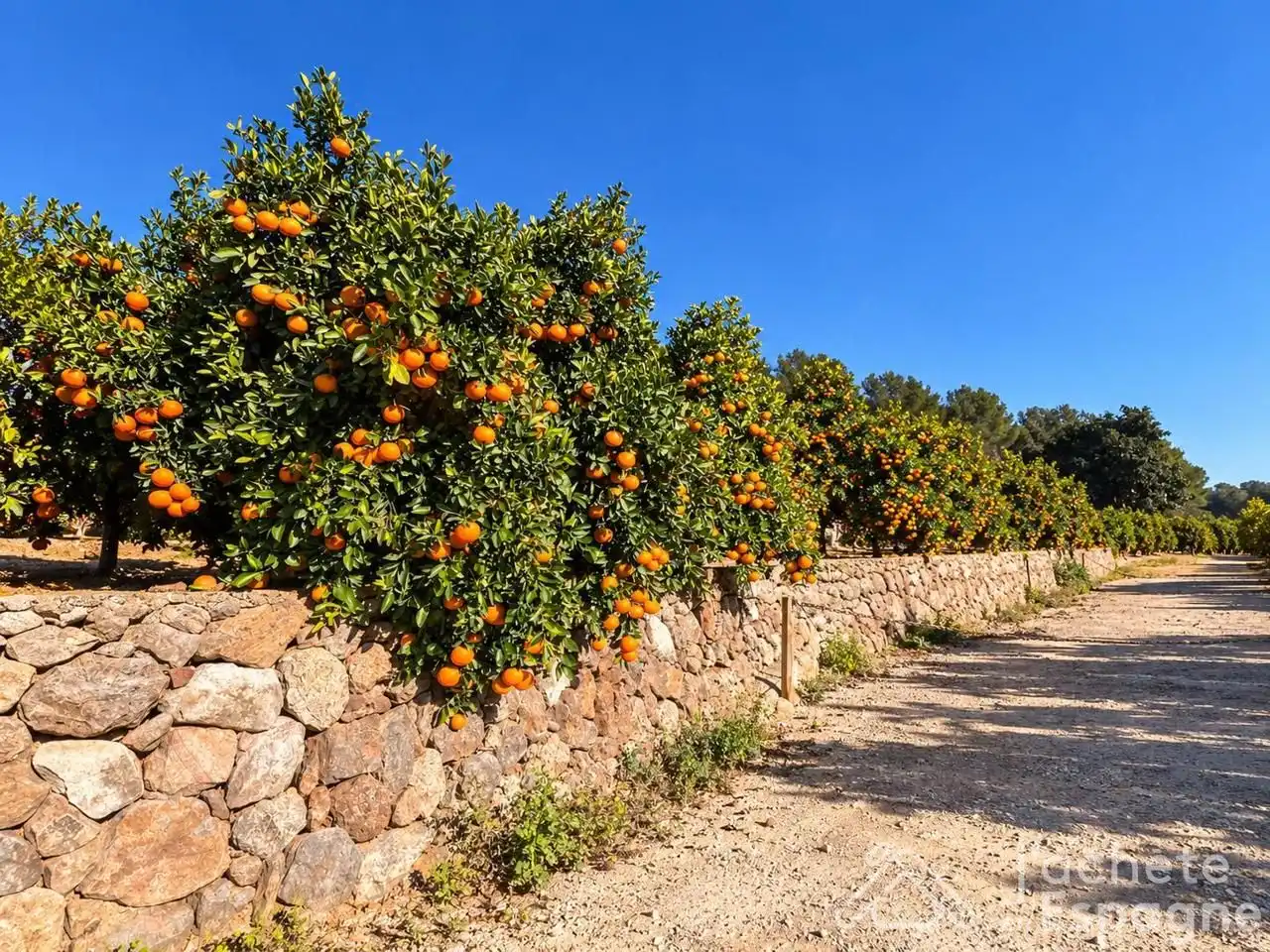 Terrenys i solars en venda a Raco Marsans, imagen 3