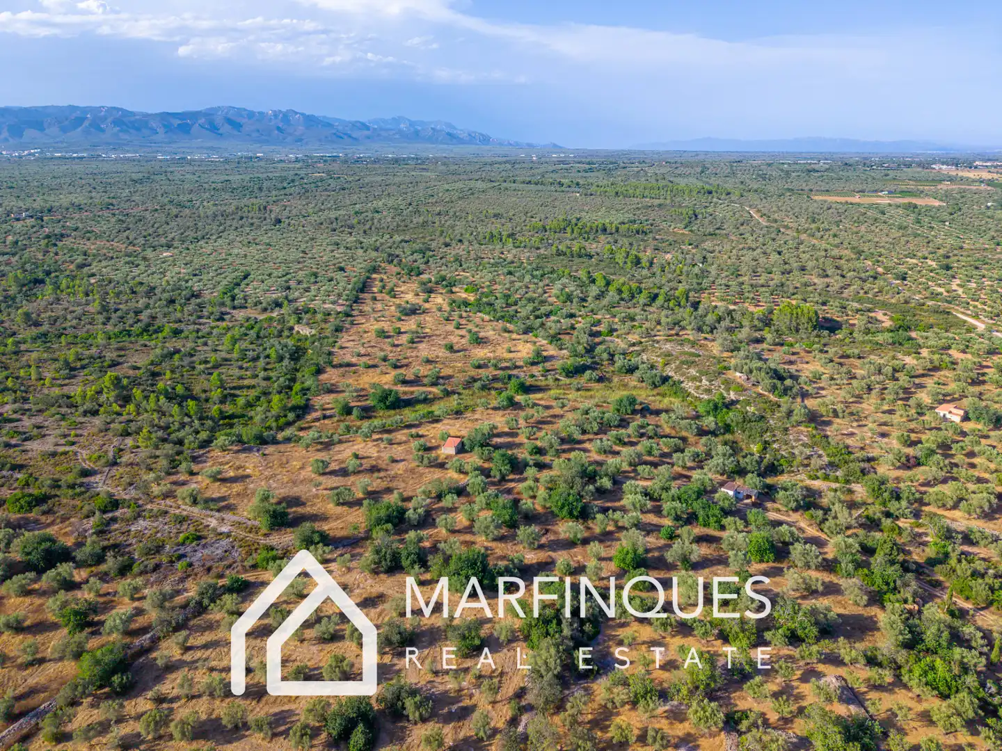 Terreno rustico in vendita a San Rafael del Río, imagen 8