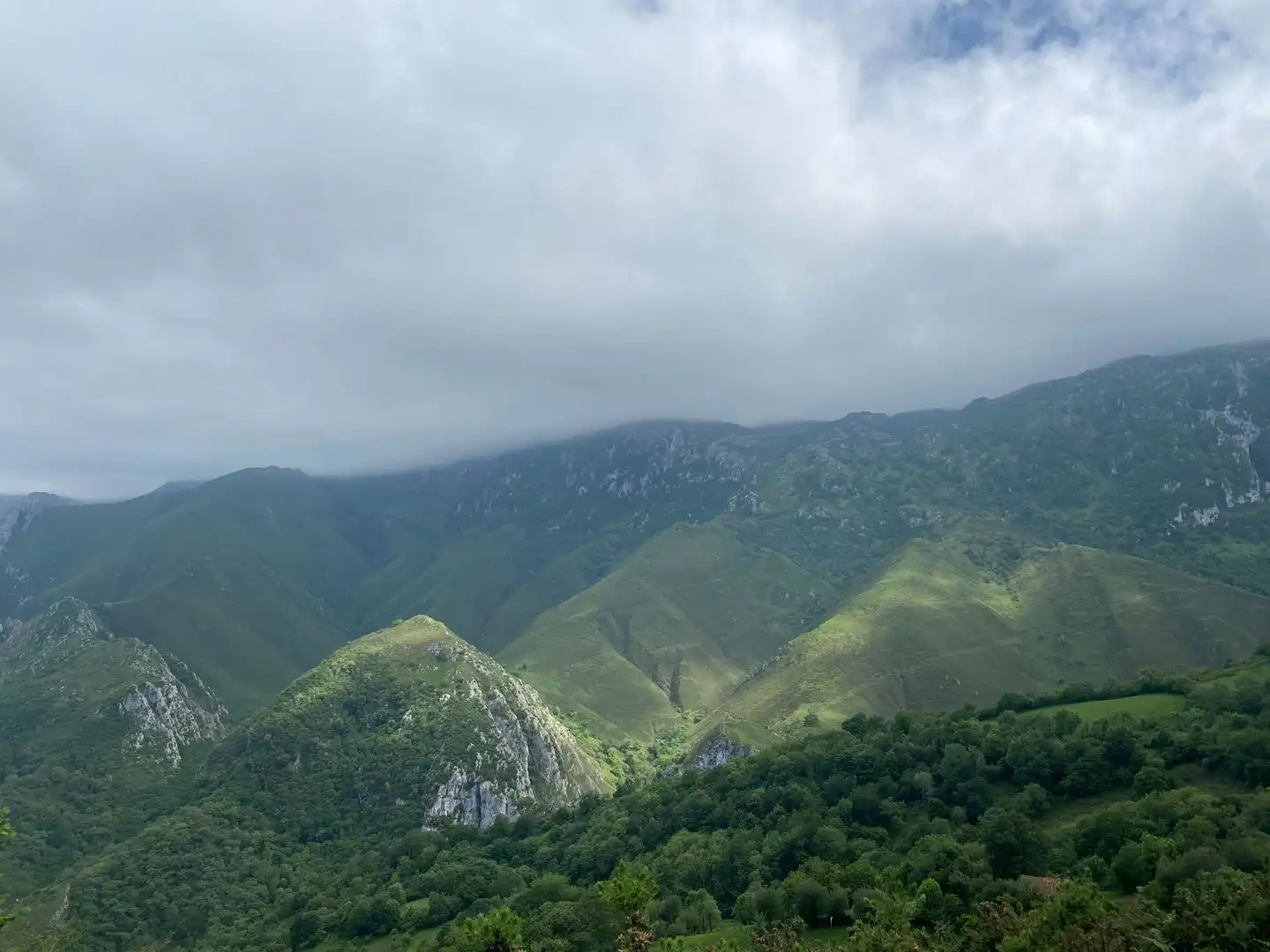 Land for sale in La Molina, Cabrales