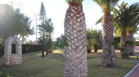 Foto 3 de Casa o xalet en venda a Valverde, Alicante