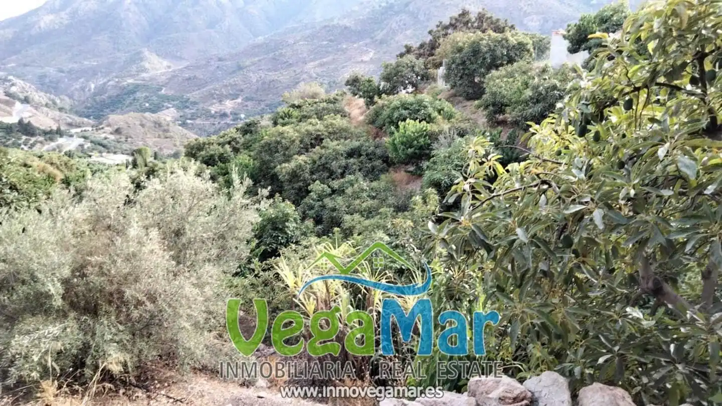 Casa rústica en venta en Los Guájares, imagen 5