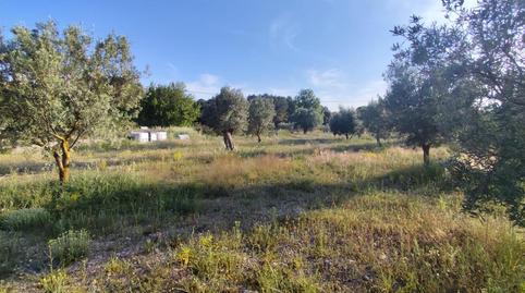 Photo 2 of Residential for rent in Ibi, Alicante