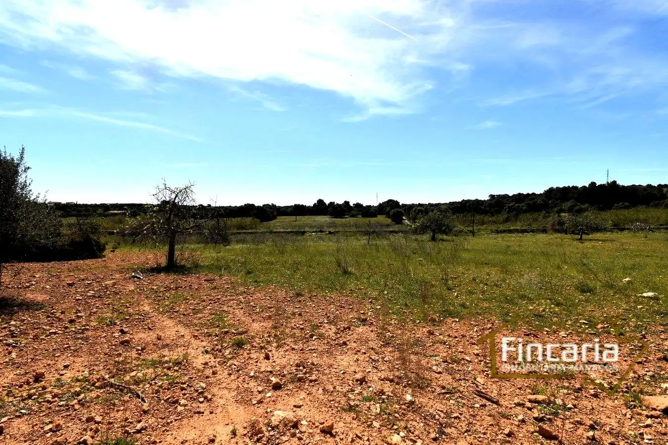 Rural land for sale in De La Torre Nova, imagen 19