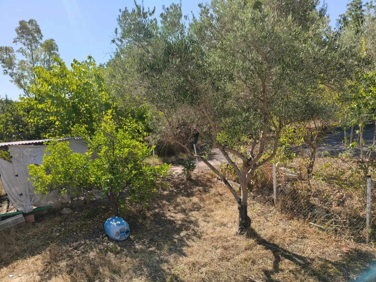 Villa avec piscine à vendre à Turís, imagen 43