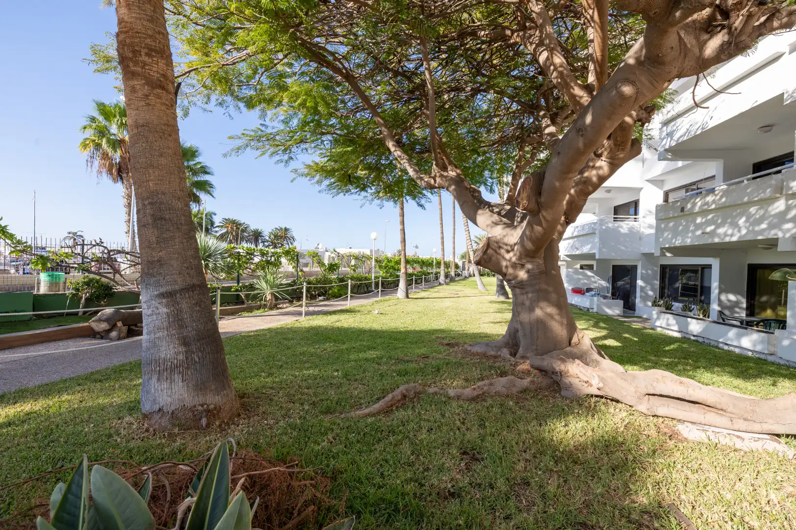 Garten von Wohnung zum Verkauf in Mogán mit Klimaanlage, Terrasse und Möbliert