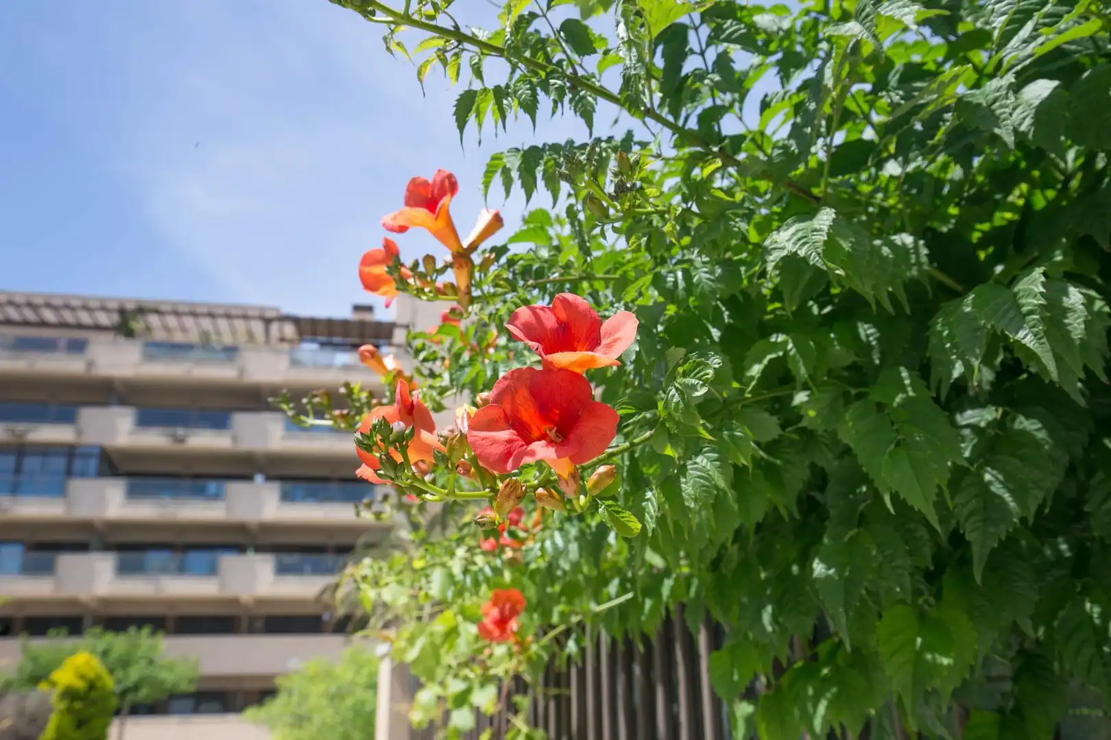 Vista exterior de Apartament en venda en Elche / Elx amb Aire condicionat, Calefacció i Terrassa