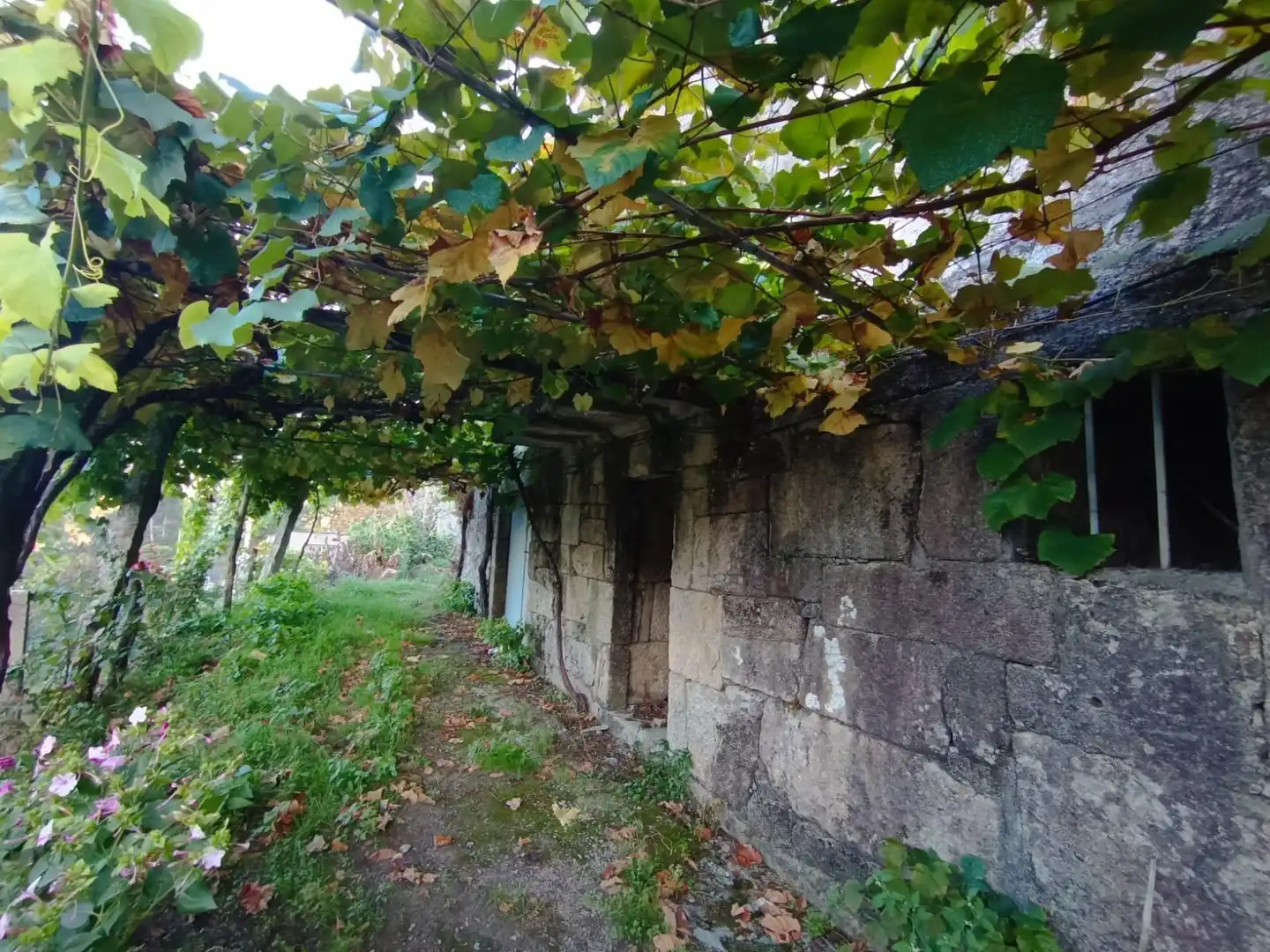 Finca rústica en venda a Lugar 36690, 55, Parroquias Rurales