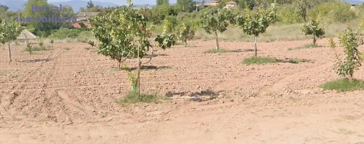 Terreno rústico en venta en Camino Ancho