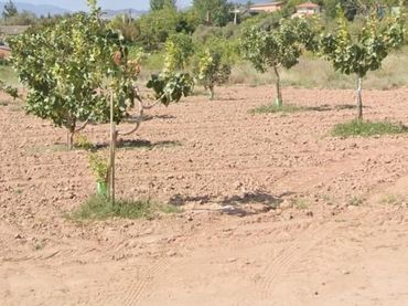 Terreno rustico in vendita a Camino Ancho