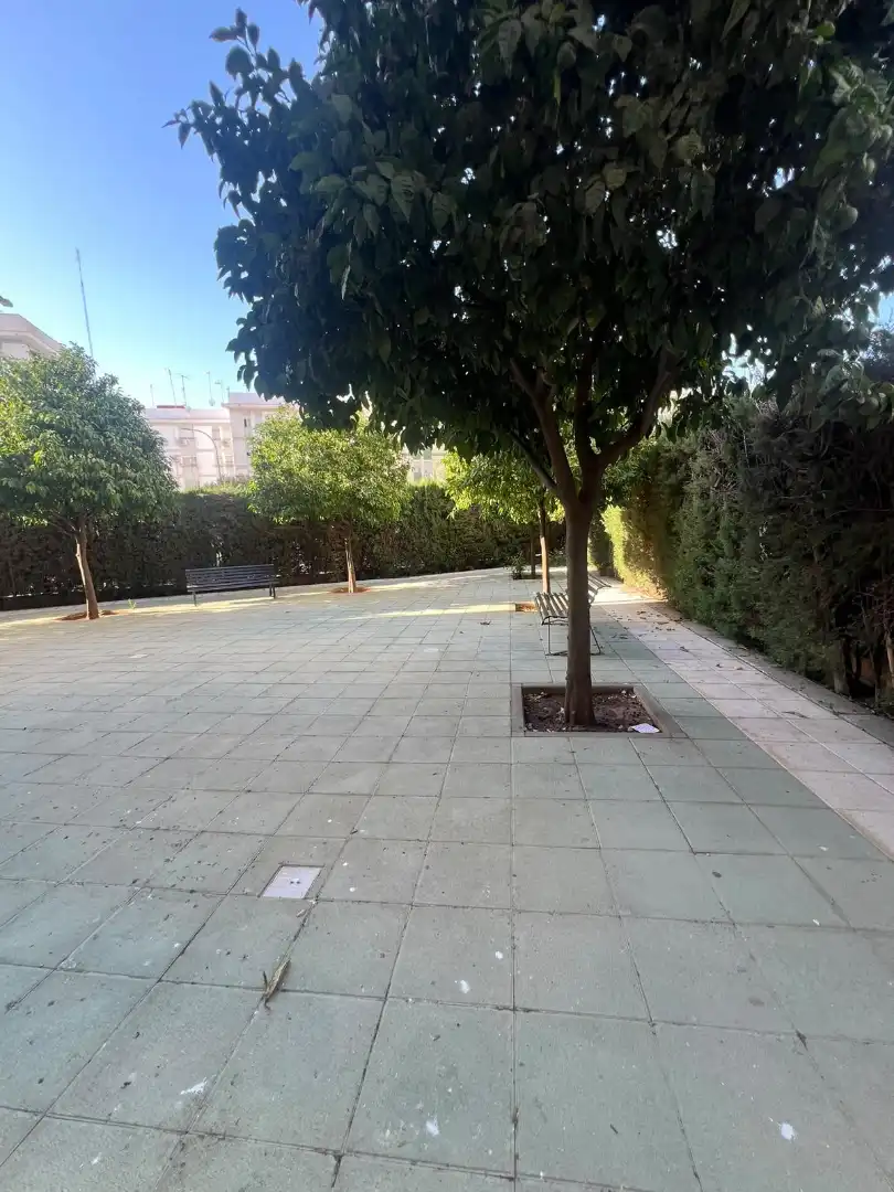 Pis amb ascensor en venda a San Pablo - Santa Justa, imagen 2