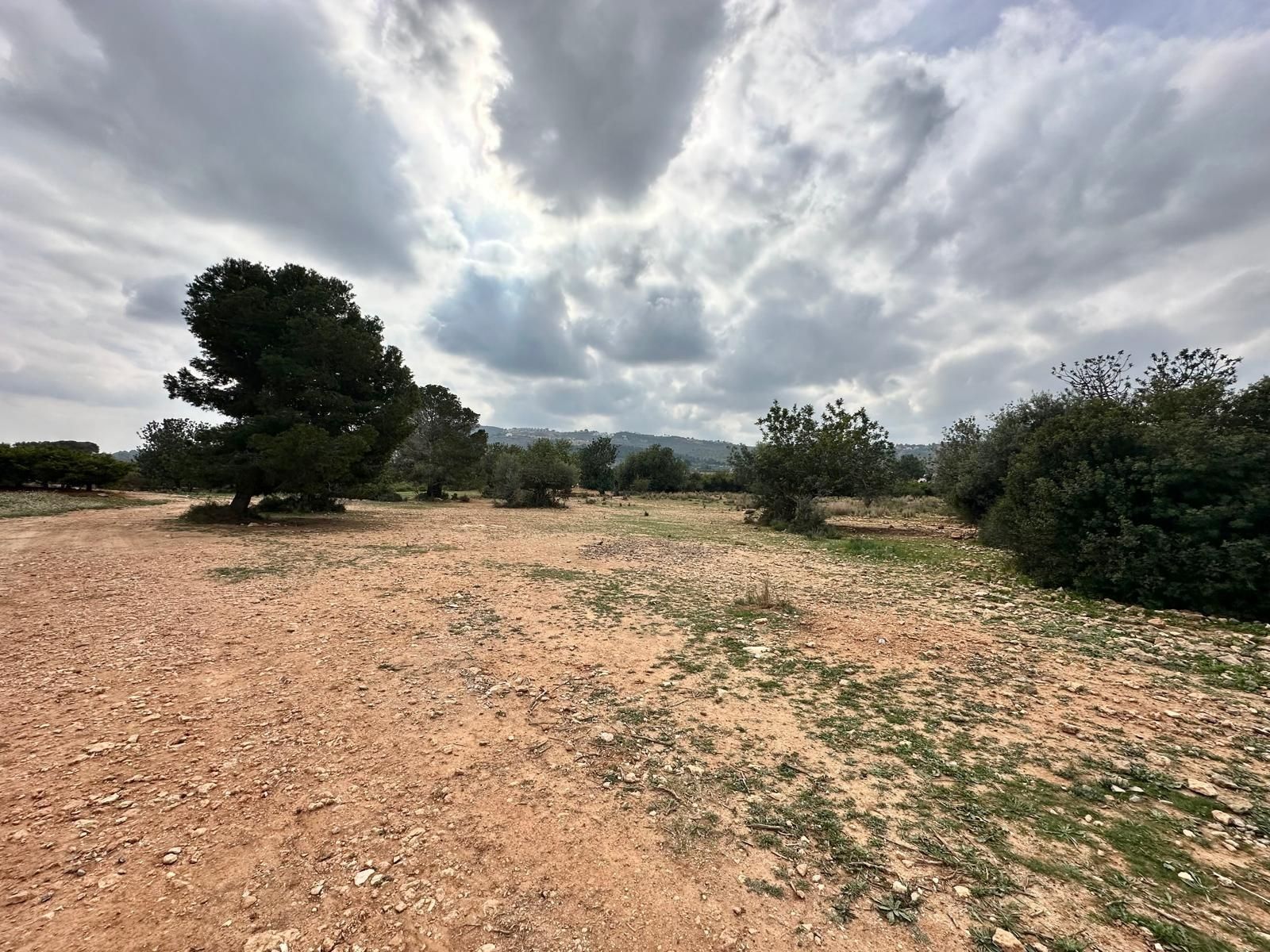 Land for sale in Chiva