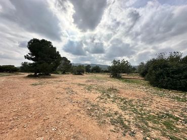 Terrain rustique à vendre à El Bosque