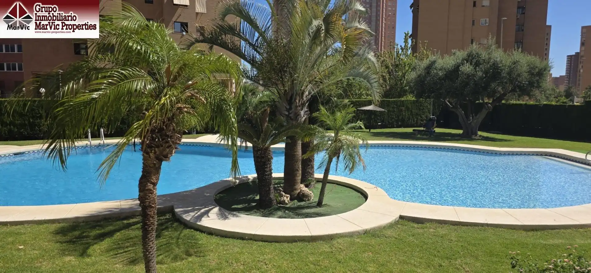 Swimming pool of Flat for sale in Benidorm  with Terrace and Community pool