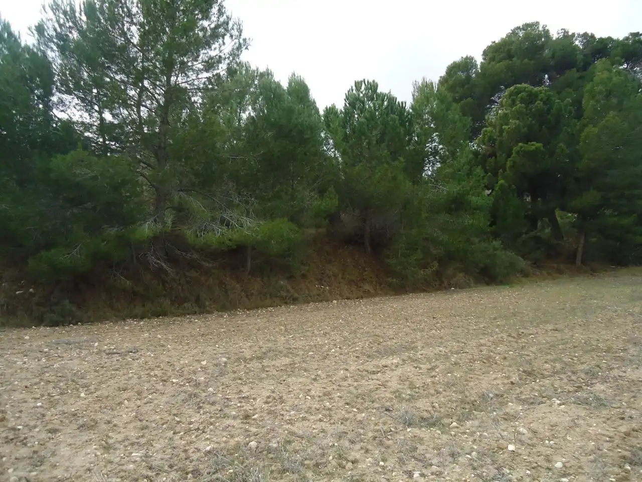Terrenys i solars en venda a Castalla, imagen 2