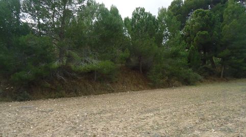OPORTUNIDAD TERRENO EN CASTALLA NO TE LO PIERDAS, immagine 2