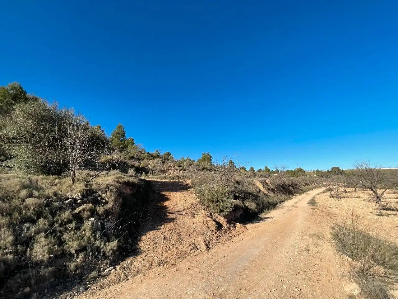 Rustikales Grundstück zum Verkauf in Jumilla, imagen 9
