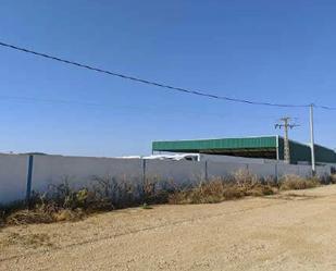 Vista exterior de Nau industrial en venda en Fuente Álamo de Murcia