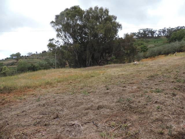 Terreno en Venta en Lugar los Altabacales, 50 en Los Castillos