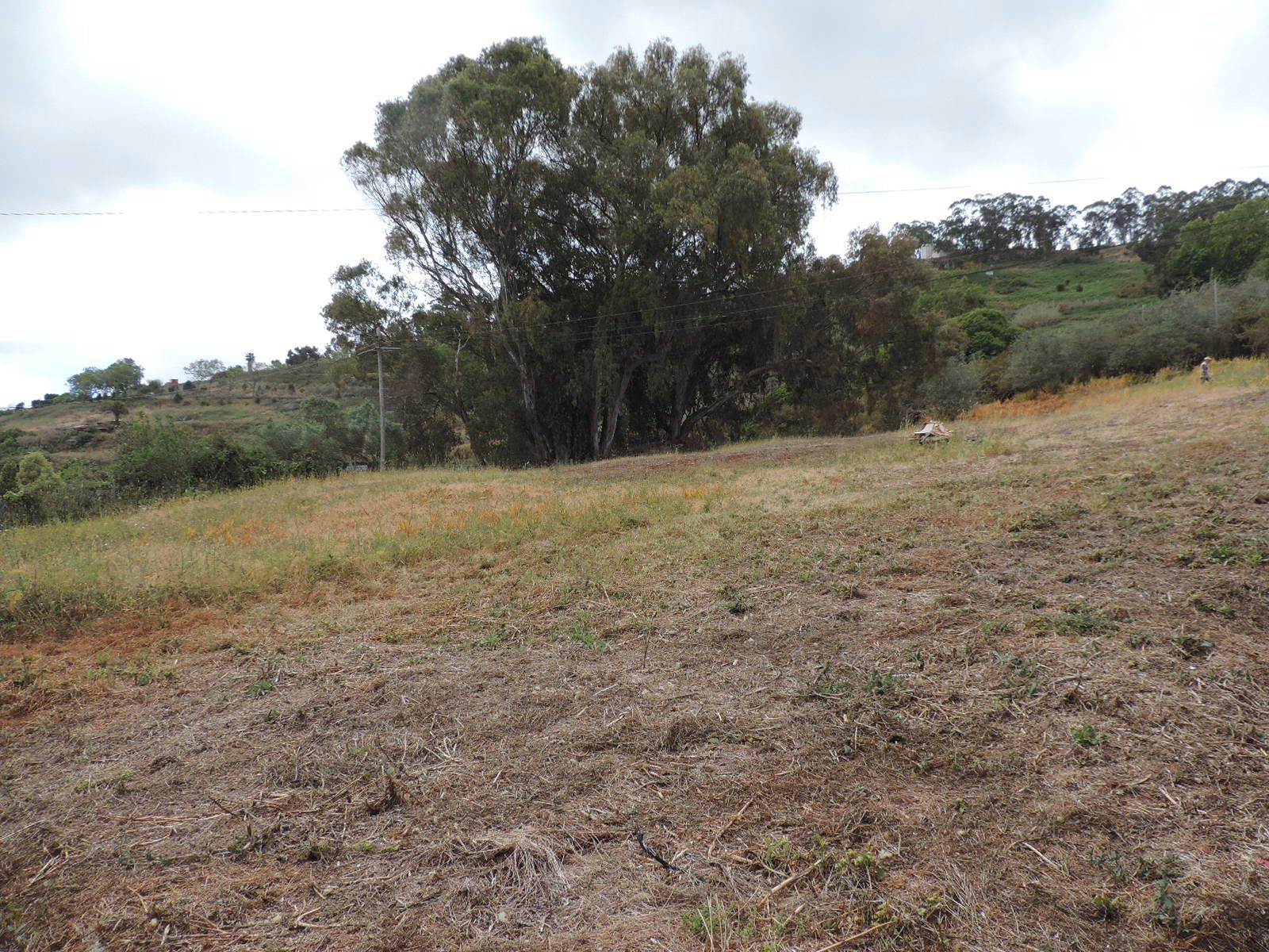 Land for sale in Arucas