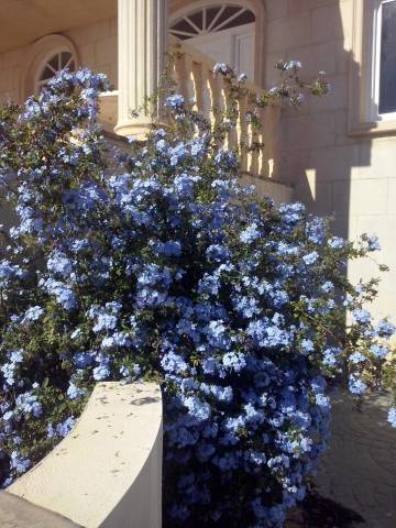 Casa-chalet en Venta en Norte