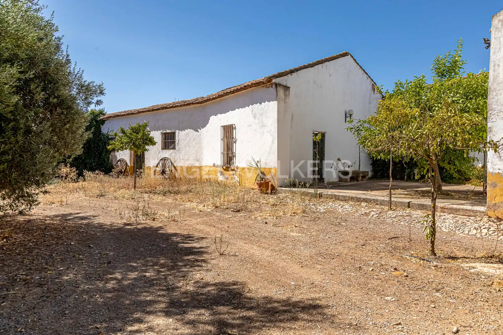 Vista exterior de Casa o chalet en venta en Bienvenida con Calefacción y Jardín privado
