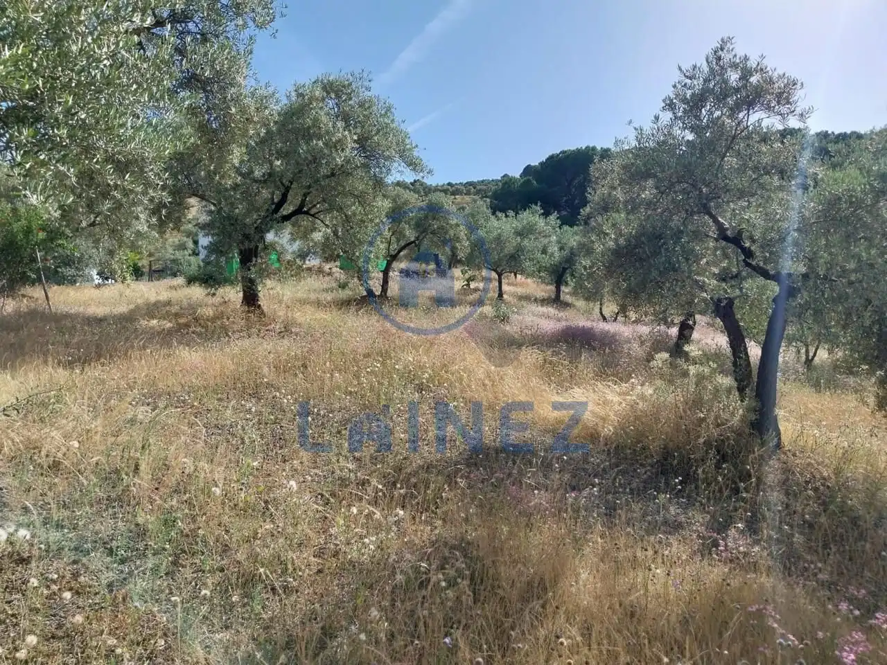 Grundstücke und Bauplätze zum Verkauf in Norte-Sierra, imagen 34