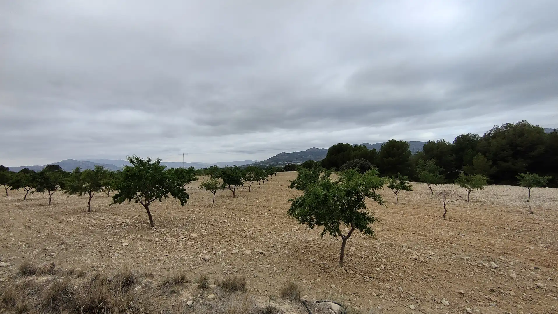 Terreno rustico in vendita a Plaça Poligono 3 271, imagen 11
