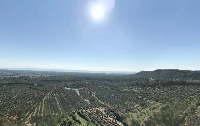 Detached homes for sale in Vilanova d'Escornalbou