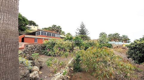 Foto 2 de Finca rústica en venta en La Vega - El Amparo - Cueva del Viento, Icod de los Vinos