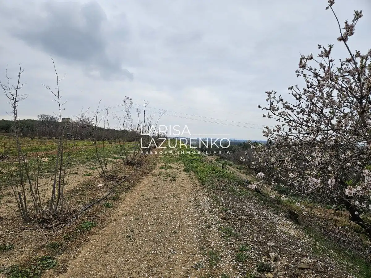 Finca rústica en venda en Riudoms