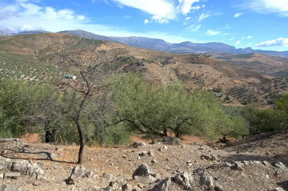 Vista exterior de Terreno en venta en Cútar, Málaga