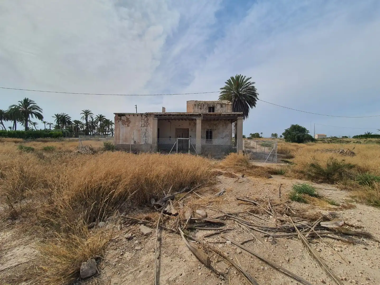 Terrain rustique à vendre à Elche ciudad, imagen 2